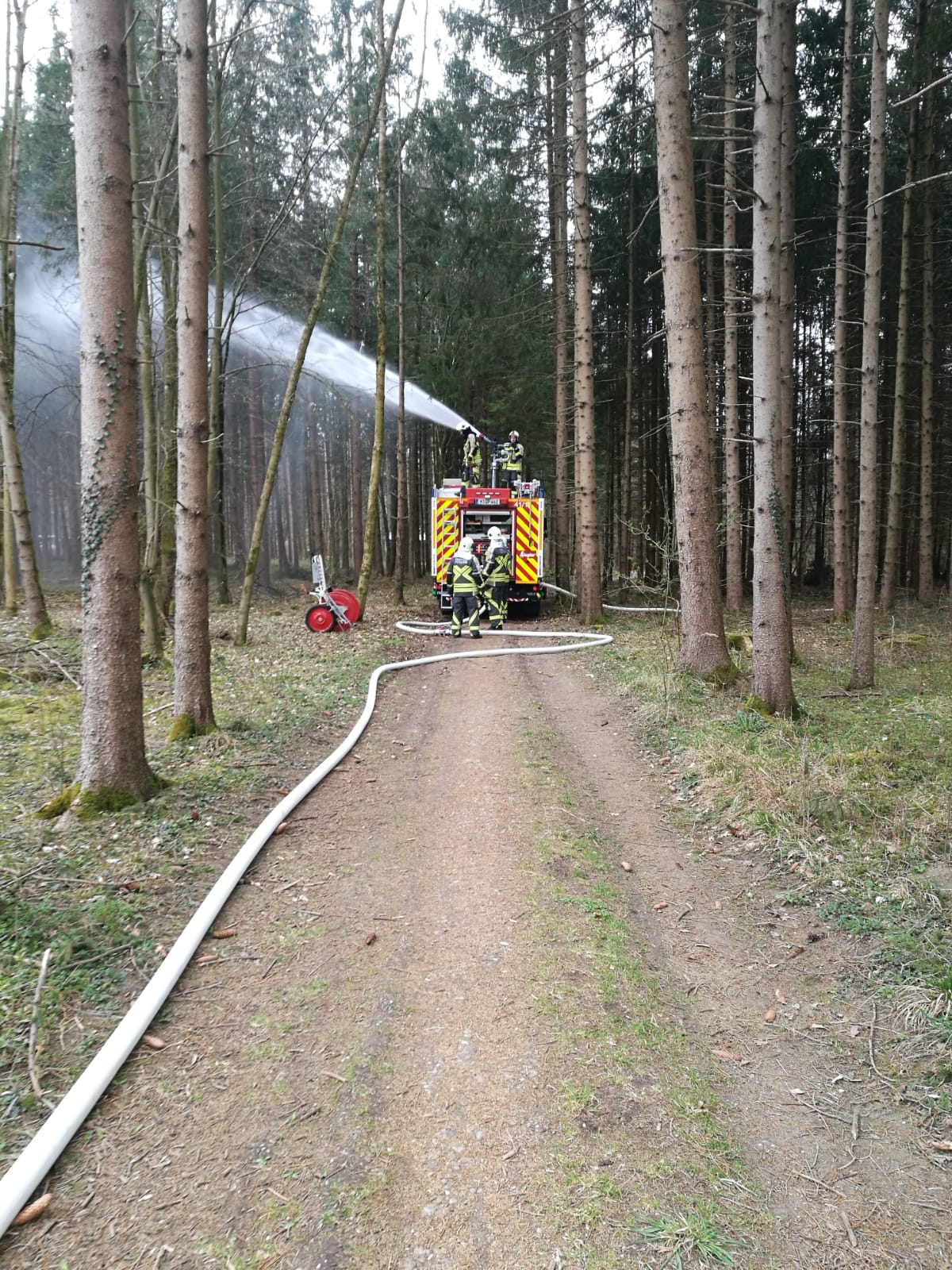 Waldbrandübung mit der FF Neubiberg – Bild 09