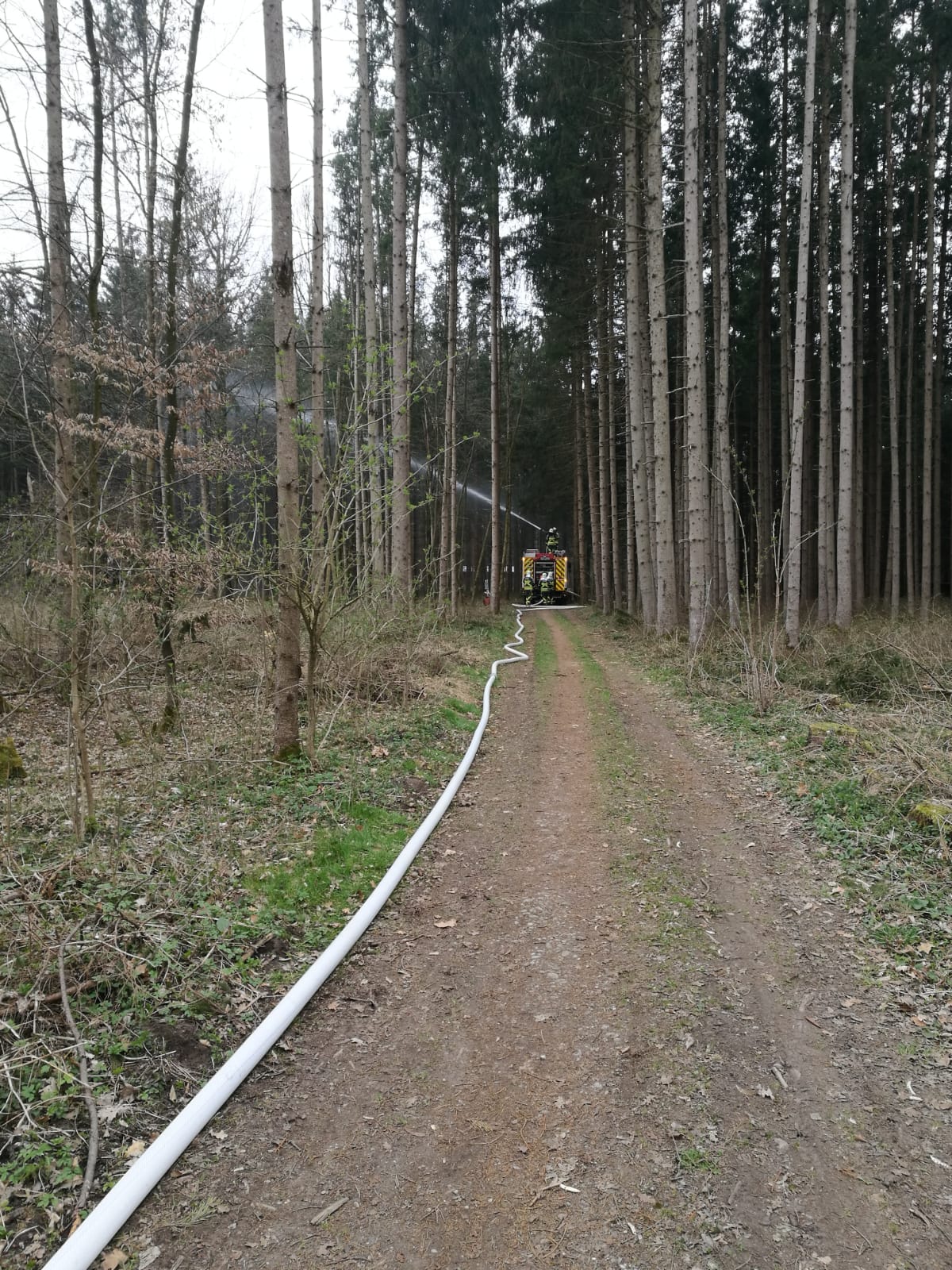 Waldbrandübung mit der FF Neubiberg – Bild 13